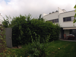 Heckenpflege